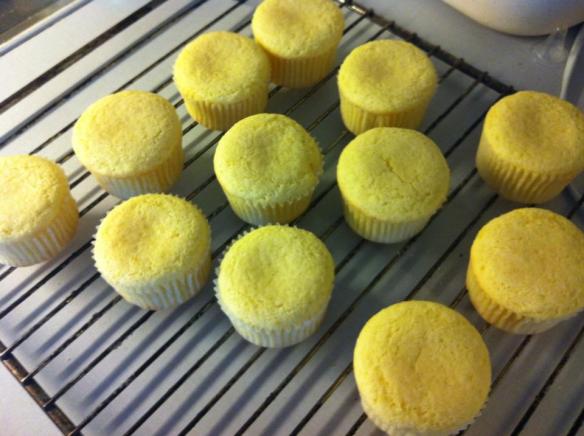 65644_513572925357037_417340258__citron